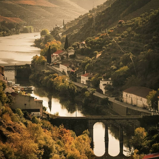 Rajonet më të mira të verës në Portugali