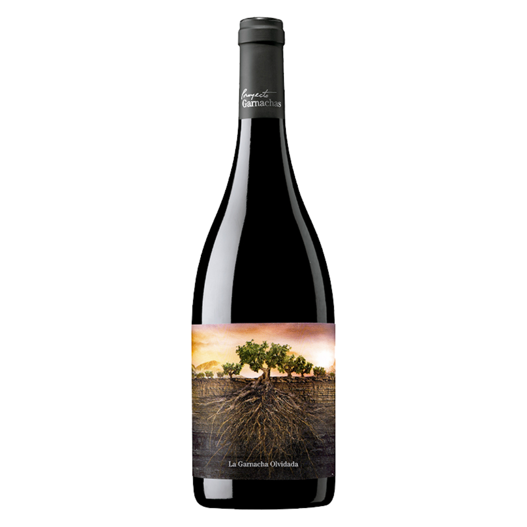 La Garnacha Olvidada de Aragón